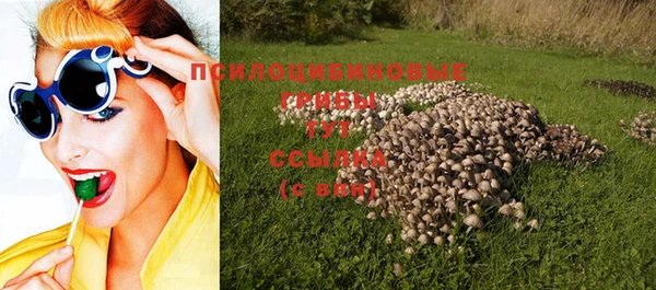 тгк Белокуриха