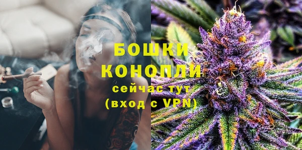 тгк Белокуриха
