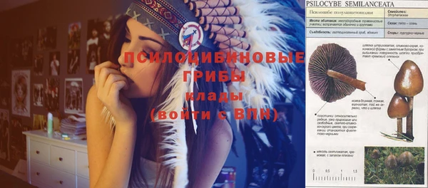 метадон Богородск