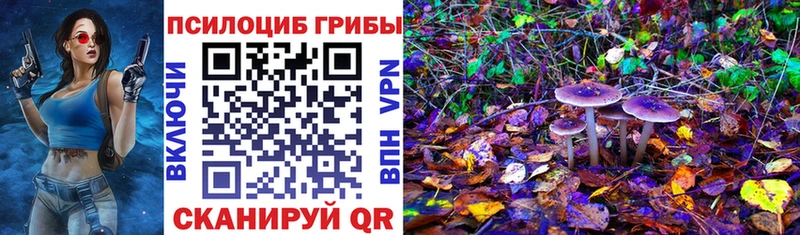 Псилоцибиновые грибы прущие грибы  Короча 